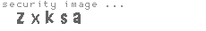 security image