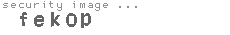 security image