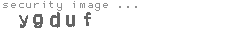 security image