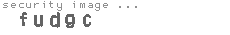 security image