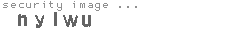 security image