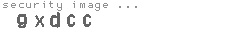 security image