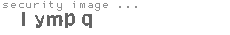 security image