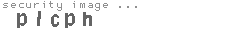 security image