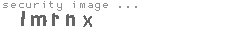 security image