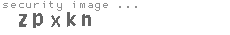 security image