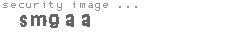 security image