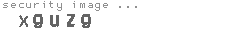 security image