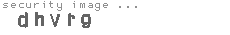security image