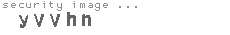 security image