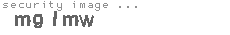 security image