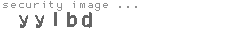 security image