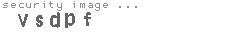 security image
