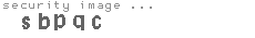 security image