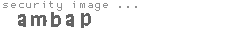 security image