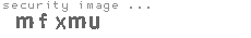 security image