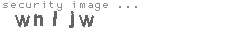 security image