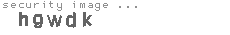 security image