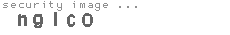 security image