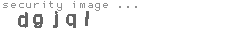 security image