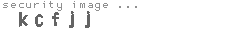 security image