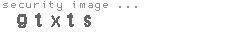 security image