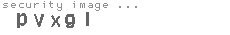 security image