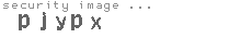security image