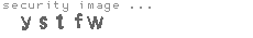 security image