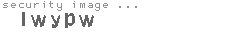 security image