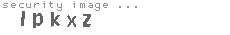 security image