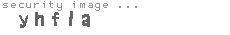 security image
