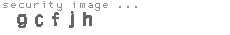 security image