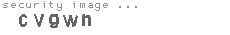 security image