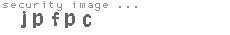 security image