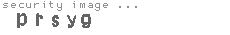 security image