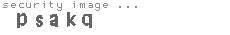 security image