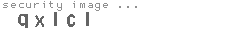 security image