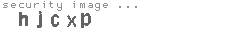 security image