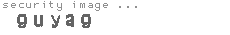 security image