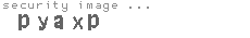 security image