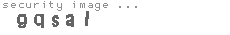 security image