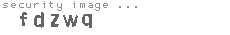 security image