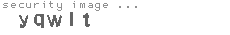 security image
