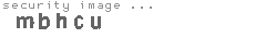 security image
