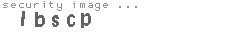 security image