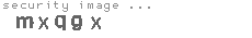 security image
