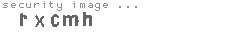 security image