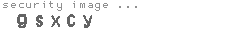 security image