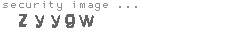 security image